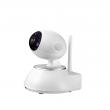 Intelligent Network Pan & Tilt Camera
Cloud Store Series